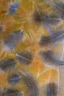 USA-Washington State-Seabeck Pattern of downy feathers Art Print